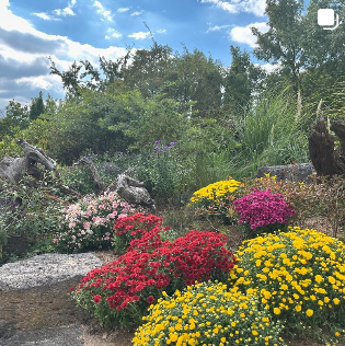 인천 여행 드림파크 국화축제 기본정보 주차장 정보(출처-홈페이지)