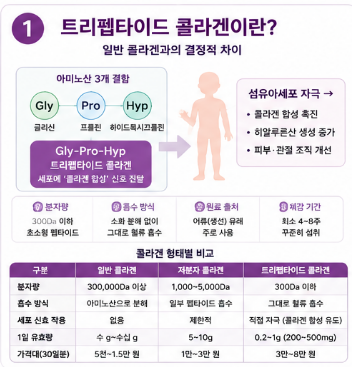트리펩타이드-콜라겐-효능-부작용-추천-제품-비교-가격