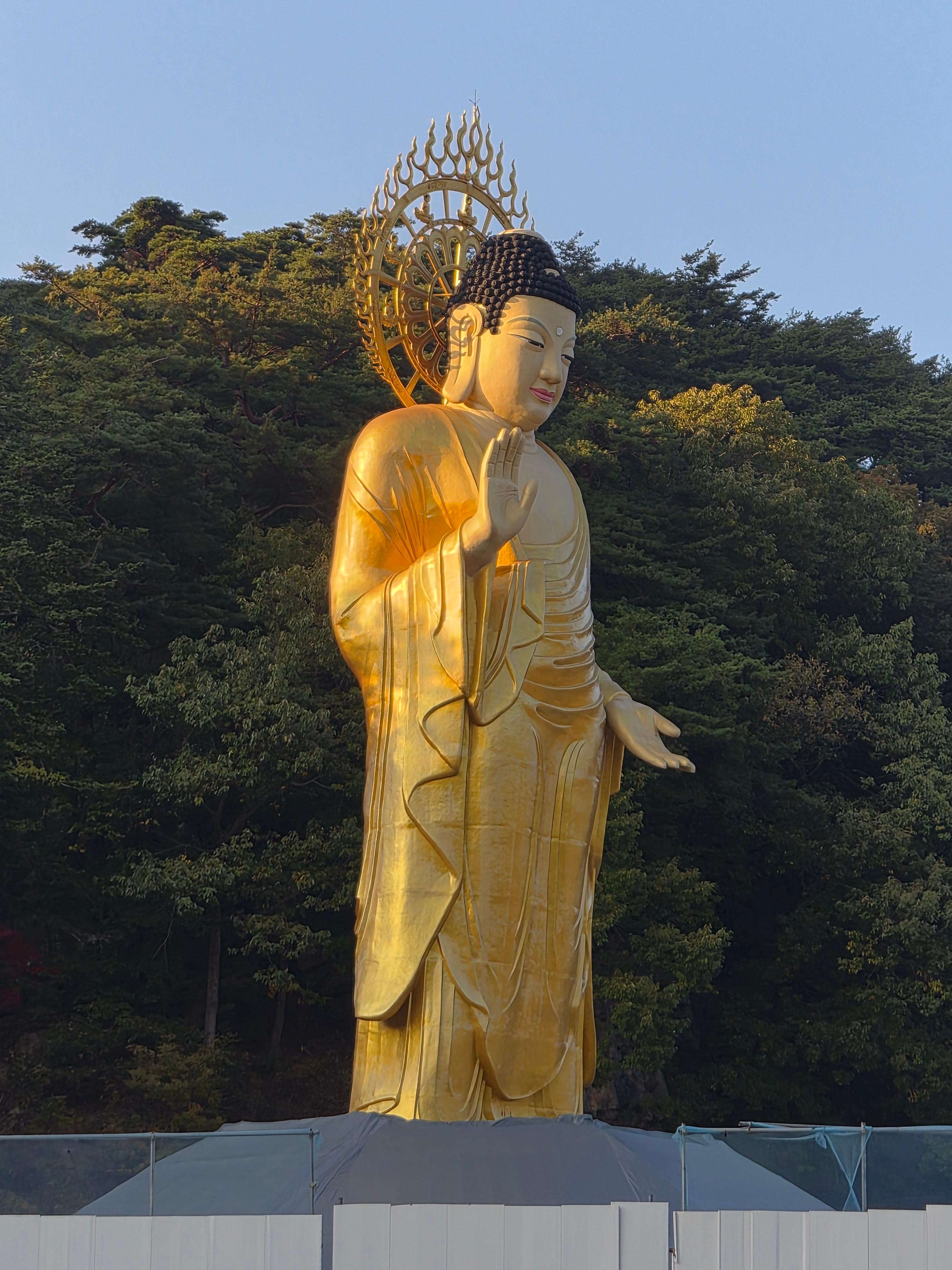 법주사 부처님