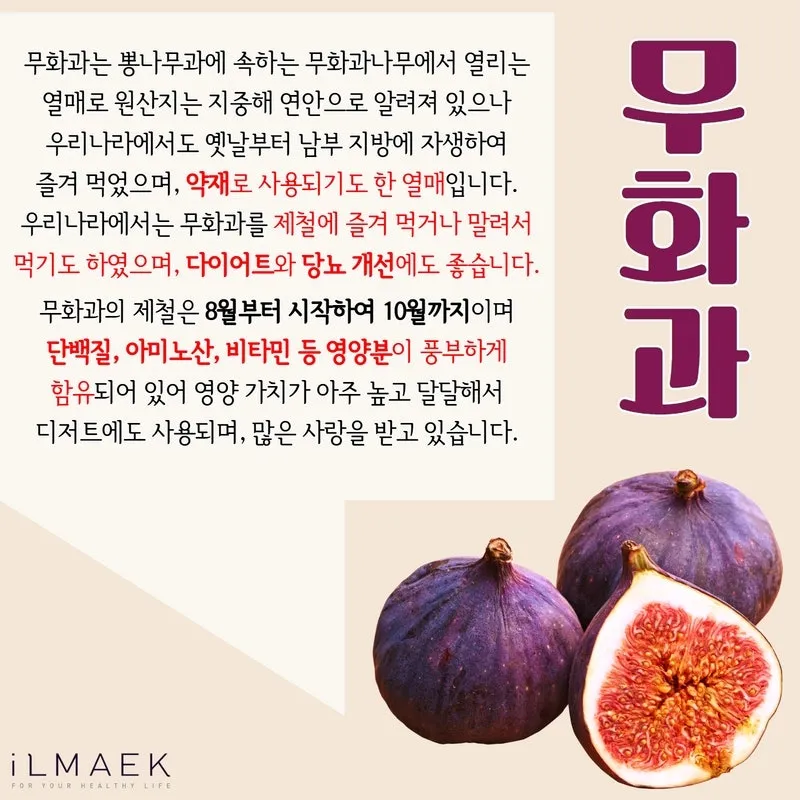 무화과 효능 칼로리 먹는 방법 수확시기 보관법_1