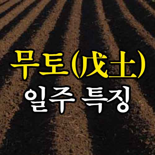 무토 일간 일주 특징