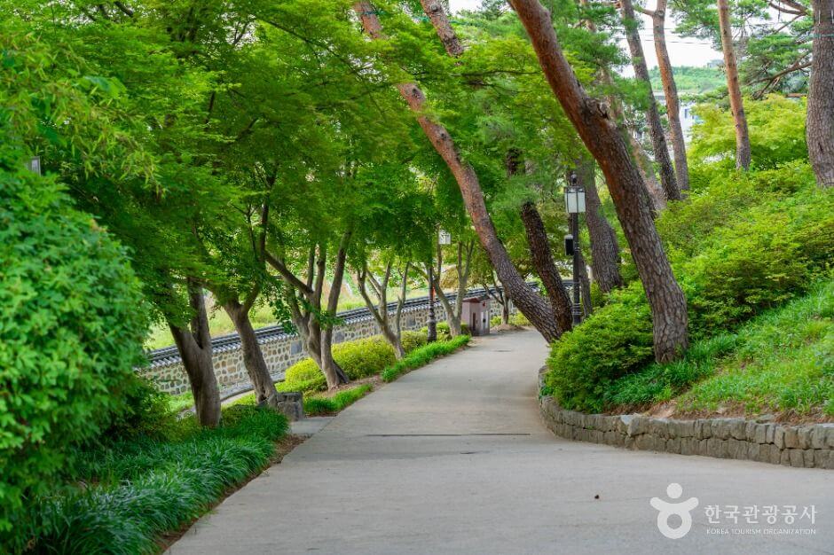 강릉 가볼만한곳 베스트 10