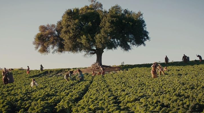 영화 다이버전트 시리즈 시즌 1 줄거리 결말 후기