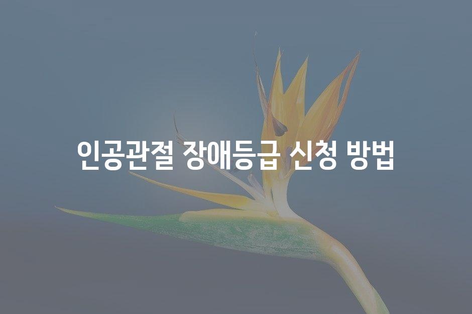 샘플 (45)