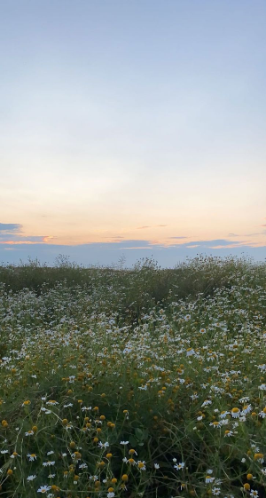 스마트폰 배경화면 잠금화면 자연 풍경 무료 다운로드
