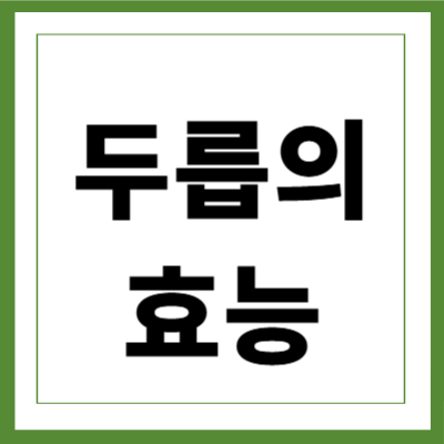 두릅 효능 관련 이미지