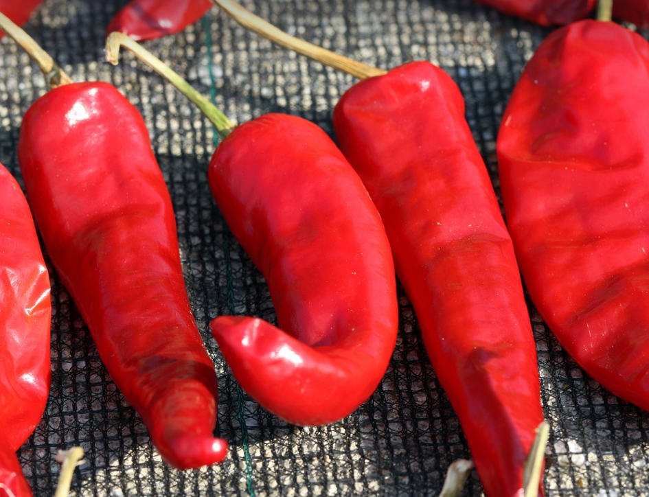 절임배추 20kg과 10kg 몇 포기 구매 바로가기