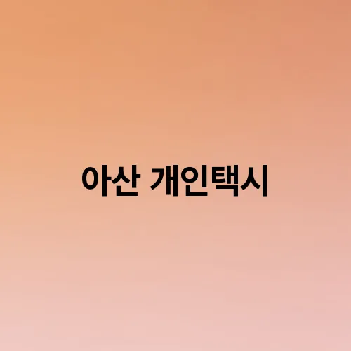 아산 개인택시