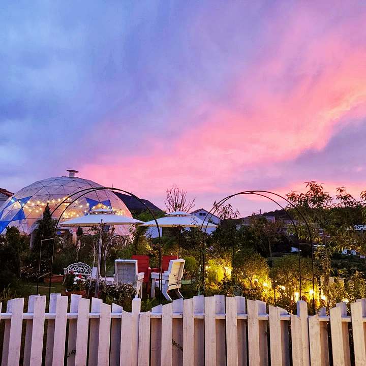 생방송오늘저녁 장미 에이드 250종 식물원 가드닝 돔 카페 아산 맛집 추천