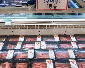 횡성 한우축제_17
