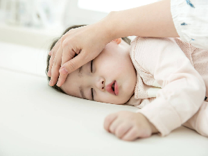 독감 주사 백신 3가 4가 차이 이미지 25