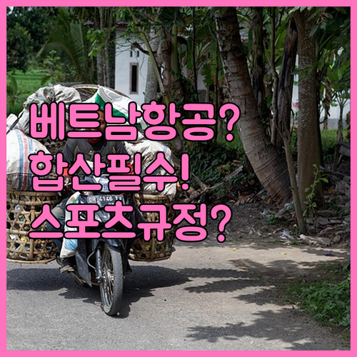 베트남항공 수하물 합산과 스포츠 장비..