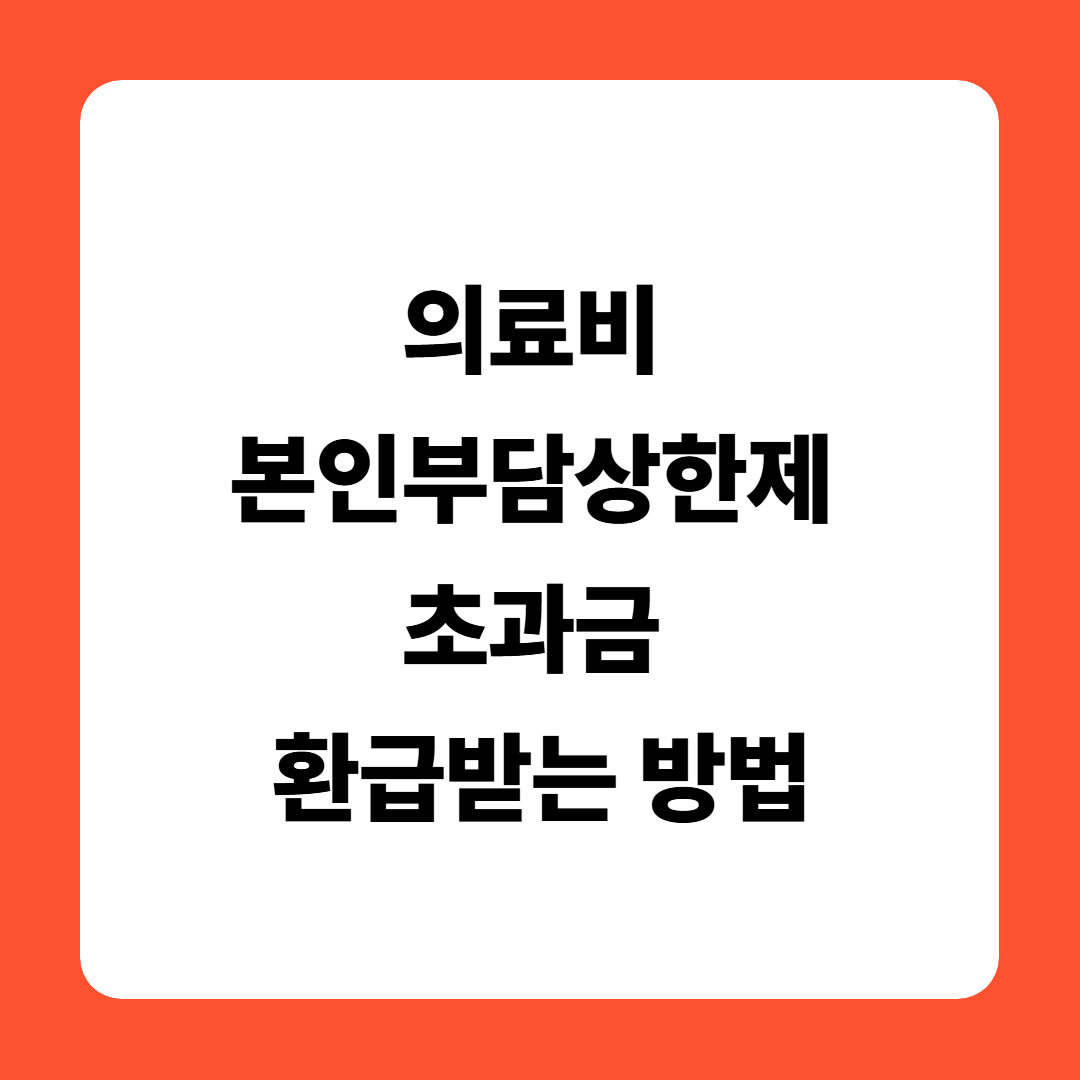 의료비 본인부담상한제 초과금 환급받는 방법