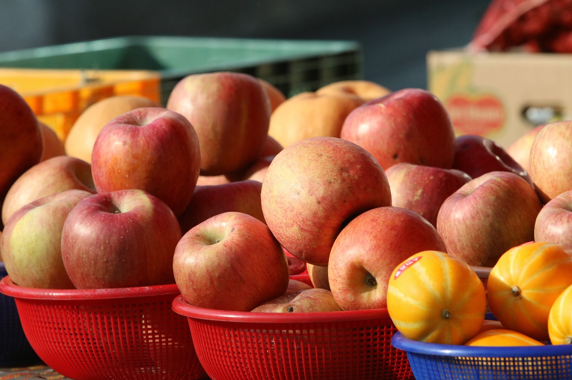 온누리-상품권-사용처