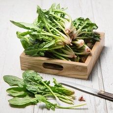 면역력 높이는 음식과 면역력 저하 증상에 좋은 영양제