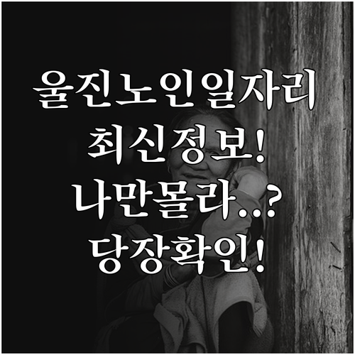 울진군 시니어클럽 맞춤형 노인일자리 ..
