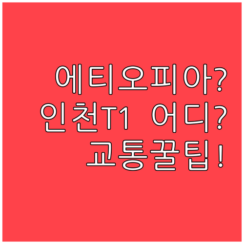에티오피아항공 인천공항 제1터미널 체..