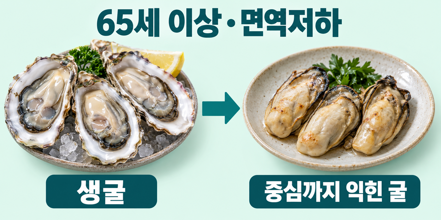 생굴: 대상 &mdash; 65세 이상&middot;면역저하; 생굴: 조리 변경 &mdash; 생굴에서 중심까지 익힌 굴로