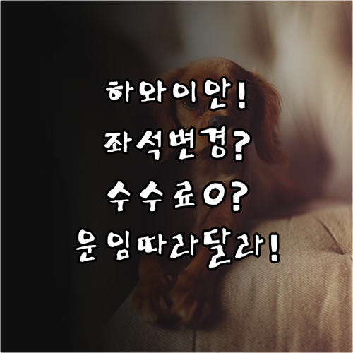 하와이안 항공 좌석 변경, 운임 종류..