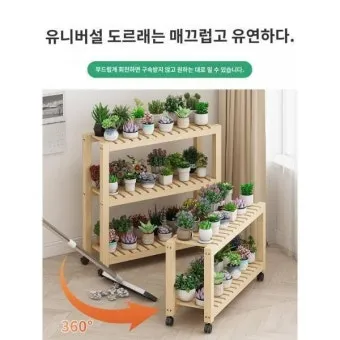 실내화분 이동 스트레스 줄이기 화분자리 변경 단계적적응 빛조절 요령_6