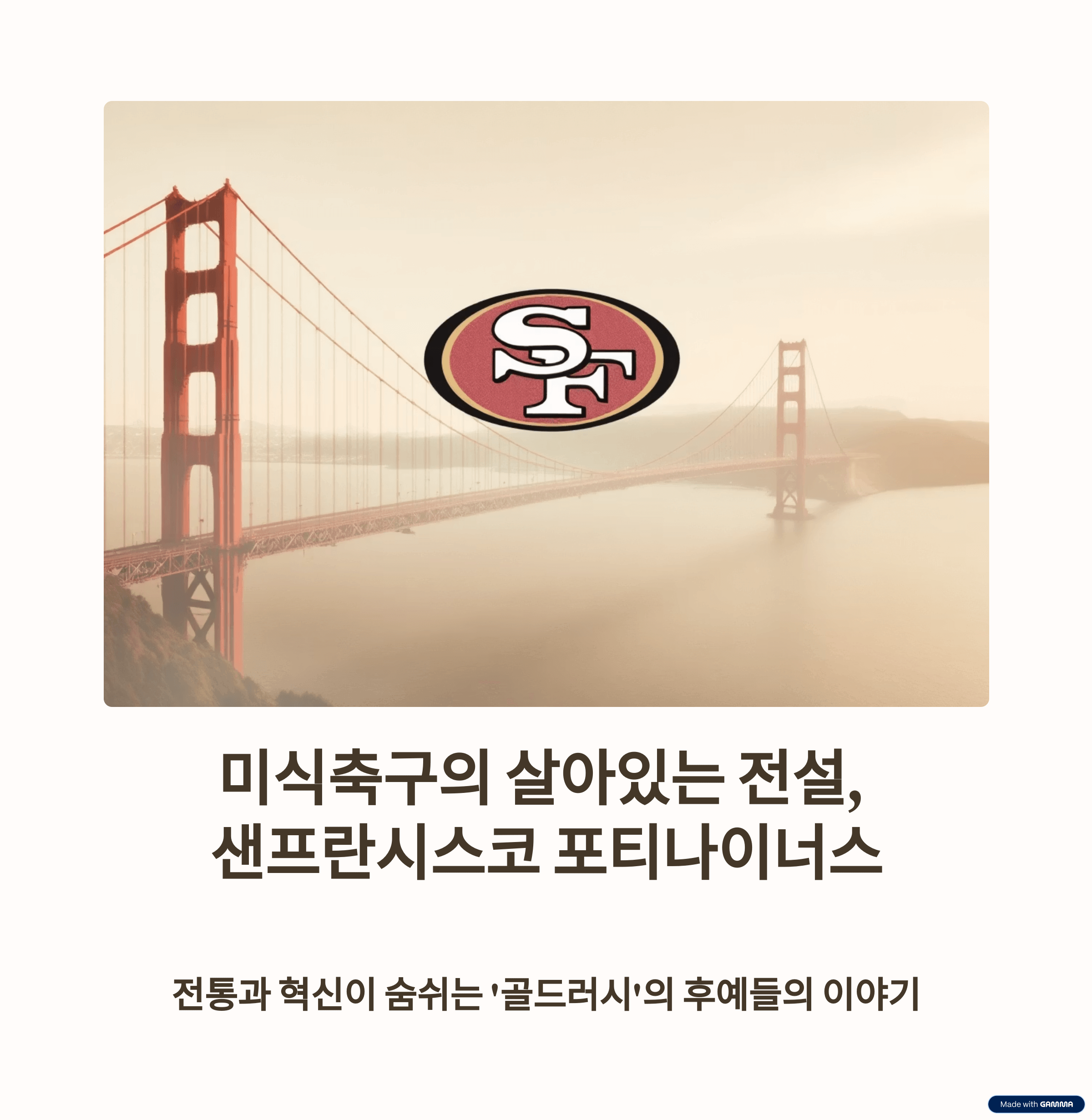 샌프란시스코 포티나이너스 이야기