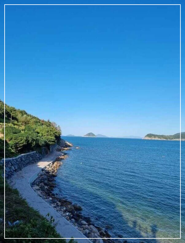 통영 가볼만한곳 베스트10 비진도