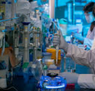 2025년 하반기 부광약품 채용 : 채용분야