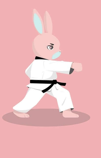 파리올림픽 태권도 국가대표 남자 여자 선수단 경기 결과 일정 중계