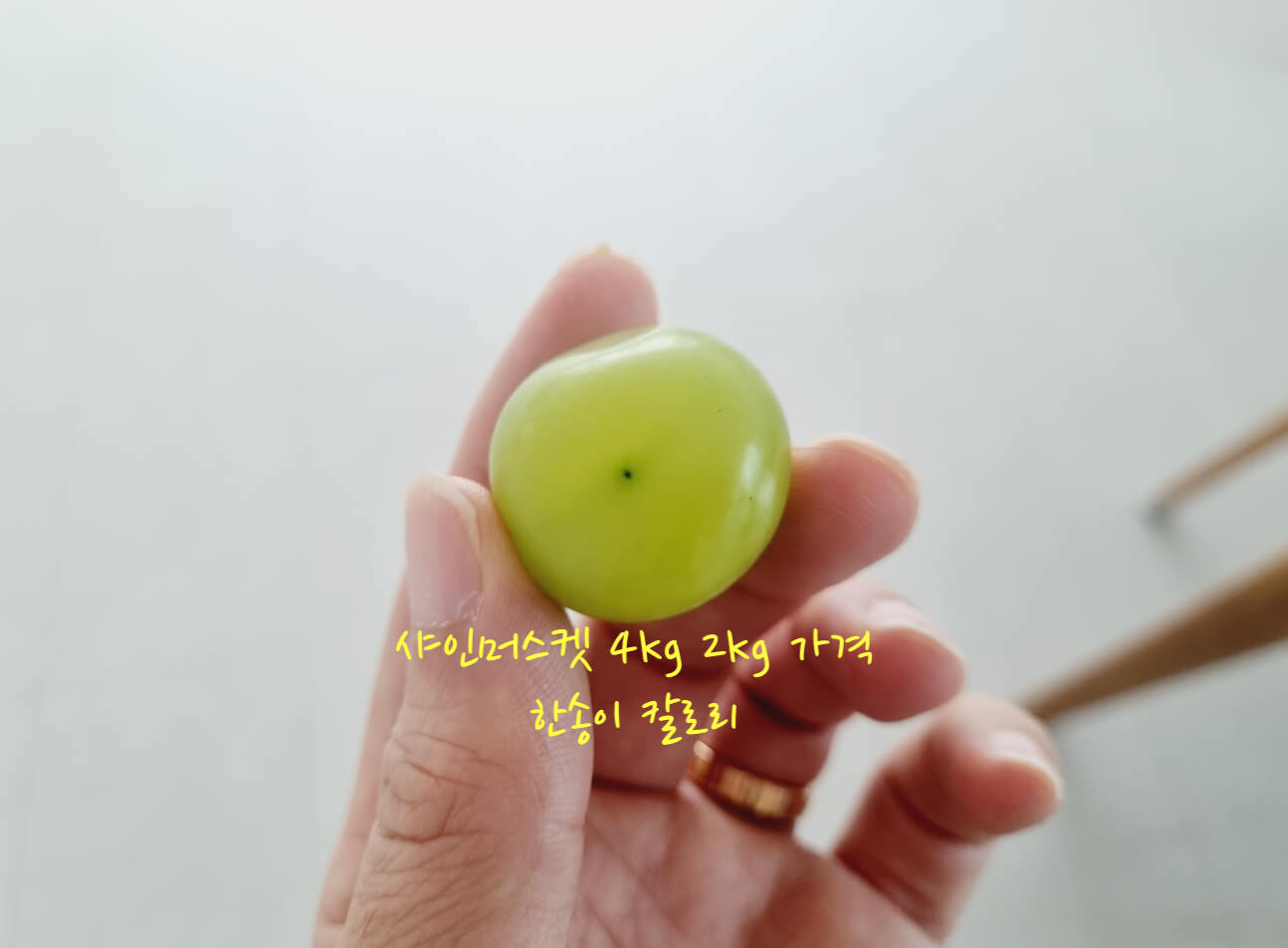 샤인머스켓 가격