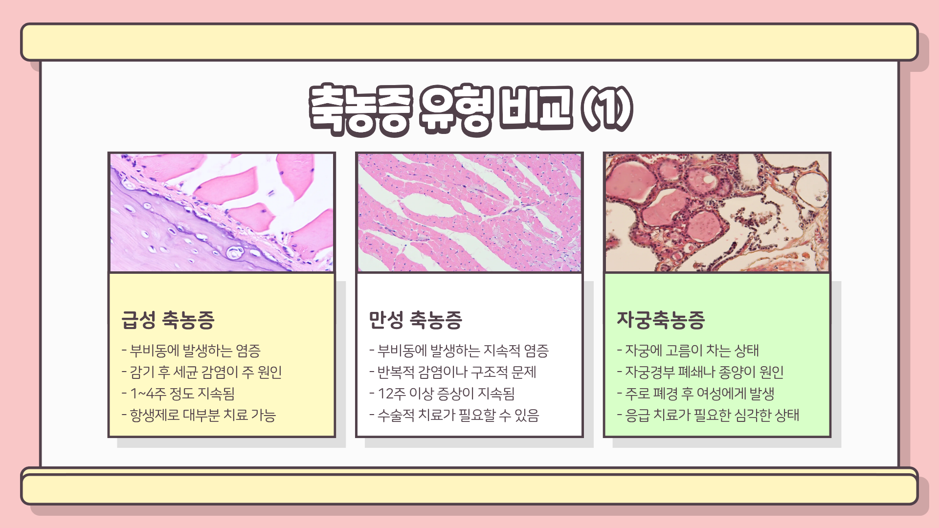 축농증 증상과 원인&amp;#44; 만성 축농증 증상&amp;#44; 자궁축농증 증상까지 완벽 정리