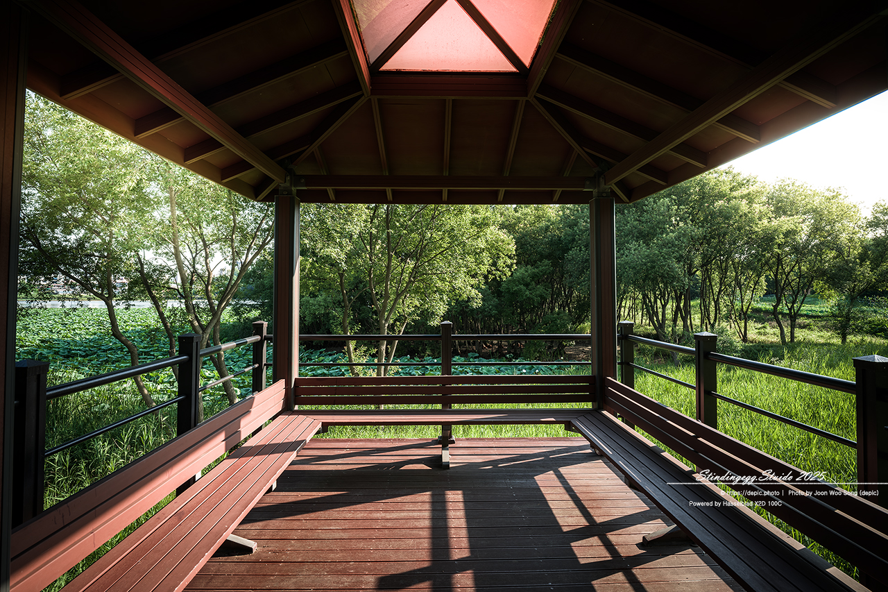 #청주 #오송 #호수공원 #오송호수공원