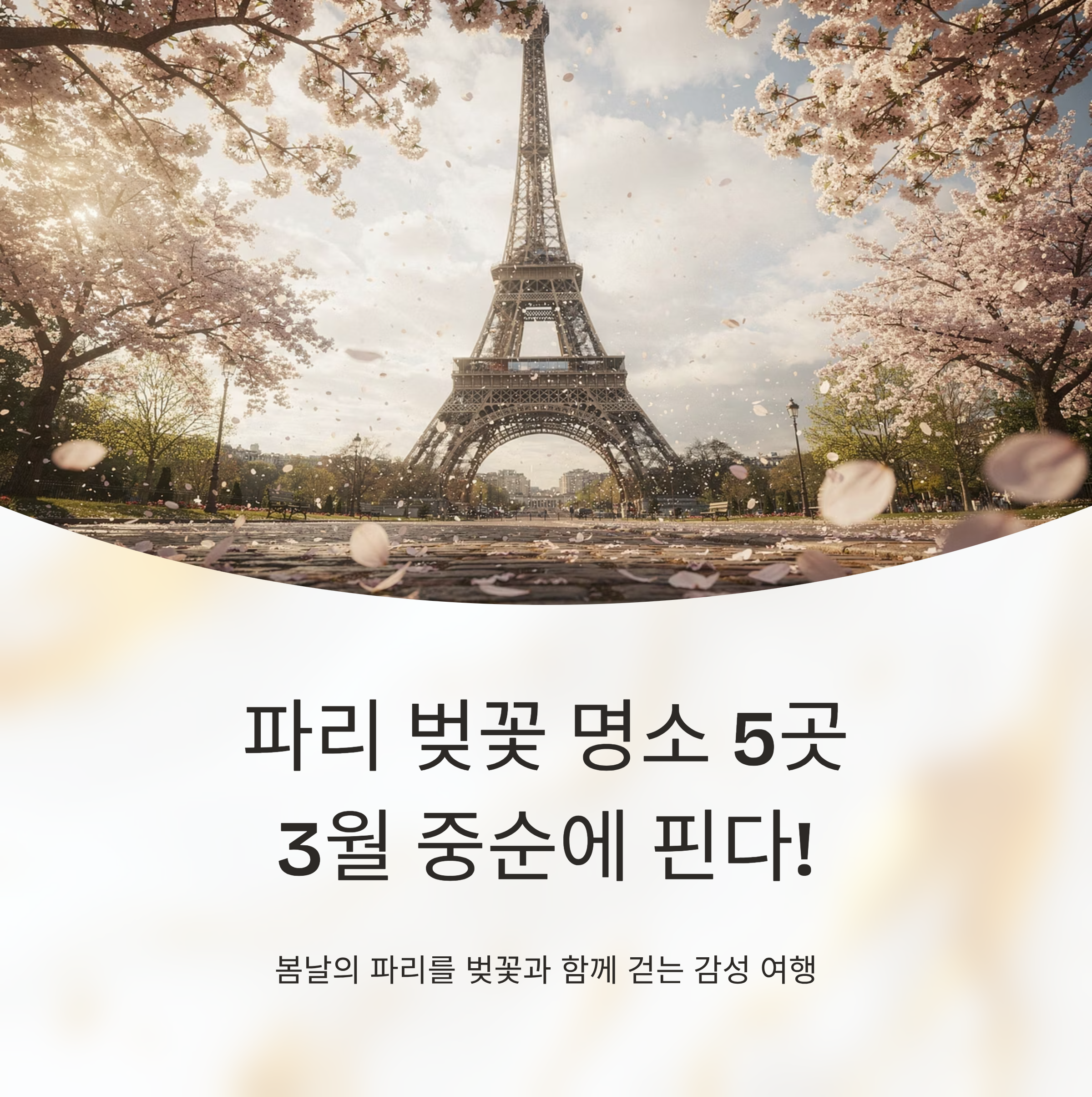 파리 벚꽃 명소 5곳, 3월 중순에 핀다!