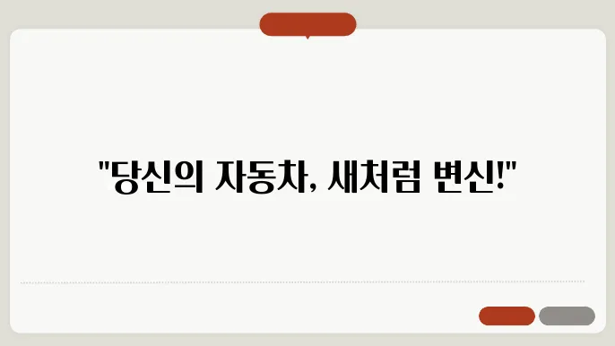 자동차 시트 유지 보수 관리