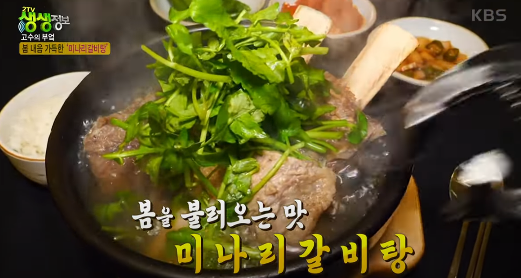 KBS 생생정보통 맛집: 미나리 갈비탕3