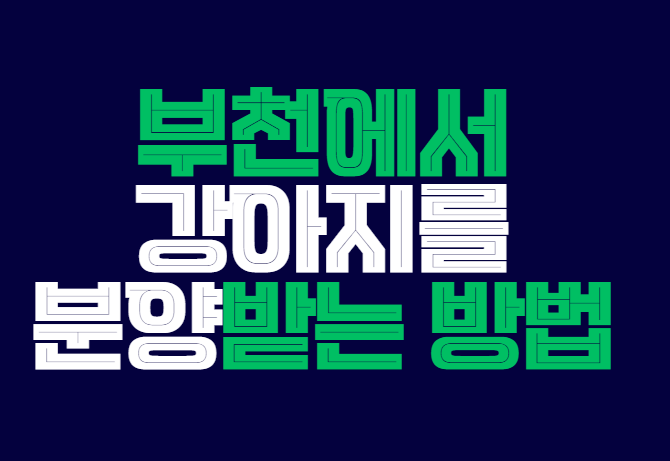 부천_강아지