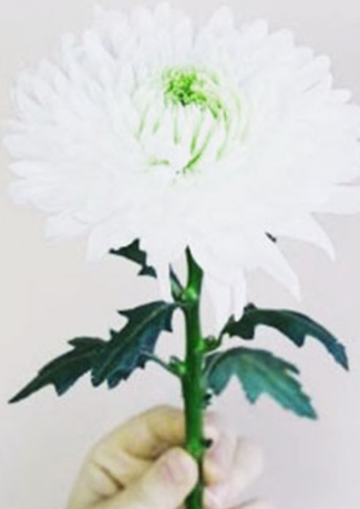 초상 장례 죽음을 보는 꿈의해몽