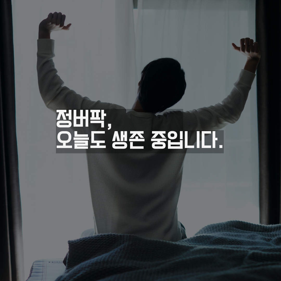 잠 못 이루는 밤에도, 나를 조금씩 회복시킬 수 있다.