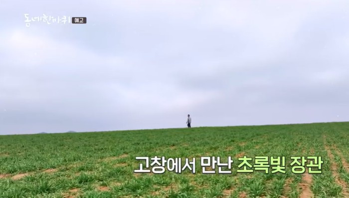 고창-초록빛-장관