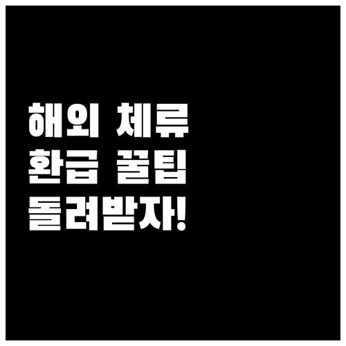 3개월 이상 해외 체류자 출국납부금 ..