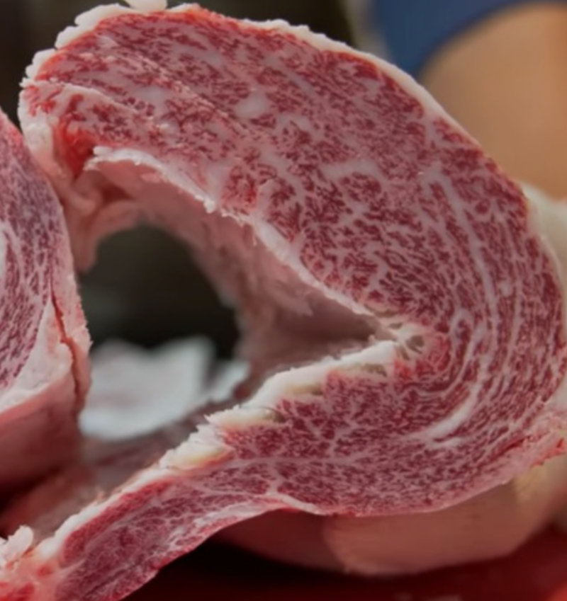 한우의 새우살 모습