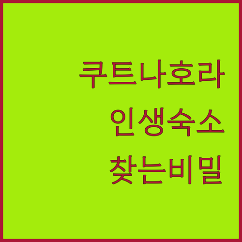 체코 여행의 숨은 보석 쿠트나 호라에..
