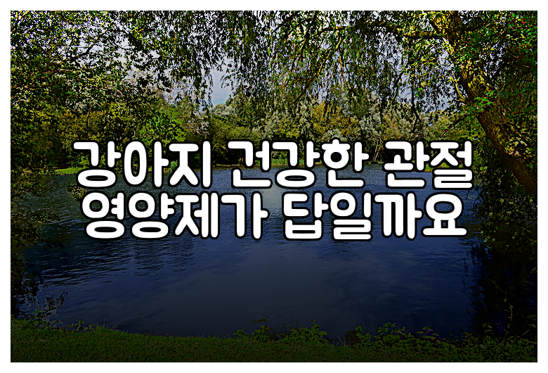 강아지 건강한 관절 영양제가 답일까요