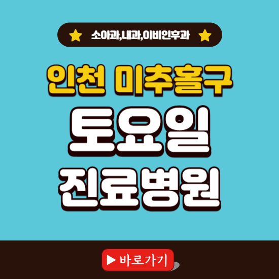 인천 미추홀구 토요일 진료 병원 찾기 ❘ 주말 문여는 소아과, 내과, 이비인후과 리스트