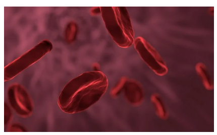 운동과 장내 미생물의 관계: 신체 활동이 장 건강에 미치는 놀라운 영향