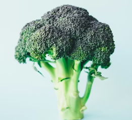 지방간에 좋은 음식 10 영양제 식단