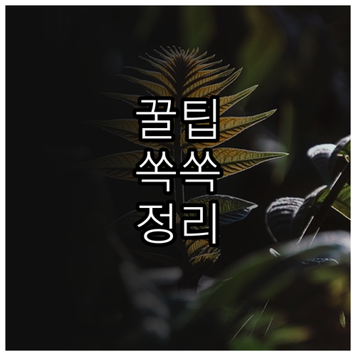 2025년 청소년 상담 서비스 무엇이..