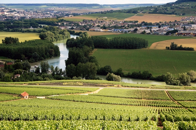 샴페인 선택 꿀팁