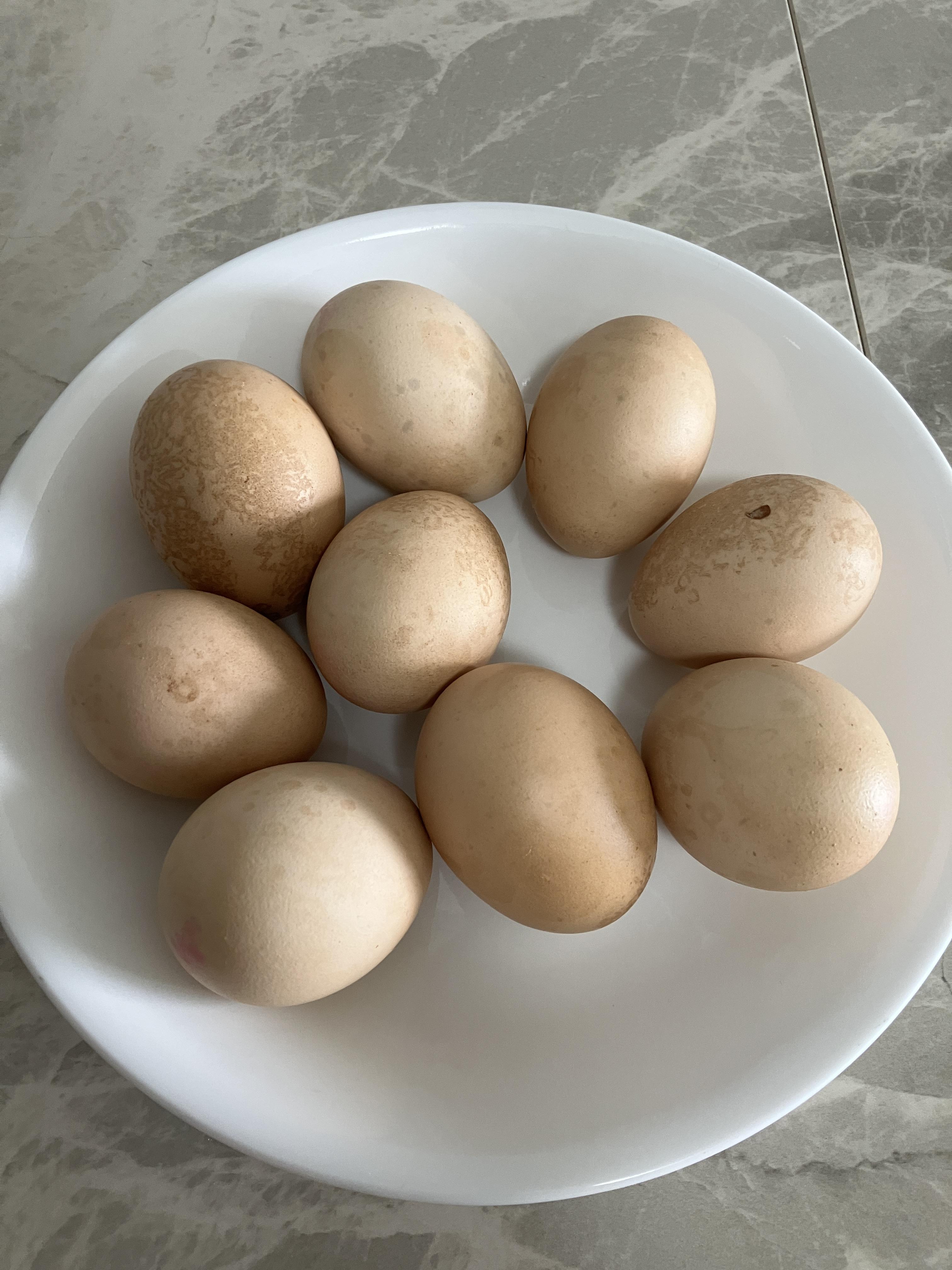 다이어트 식단 계란