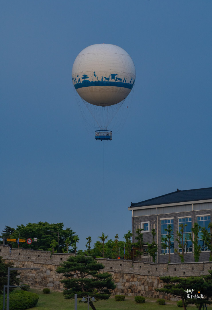 플라잉 수원 모습