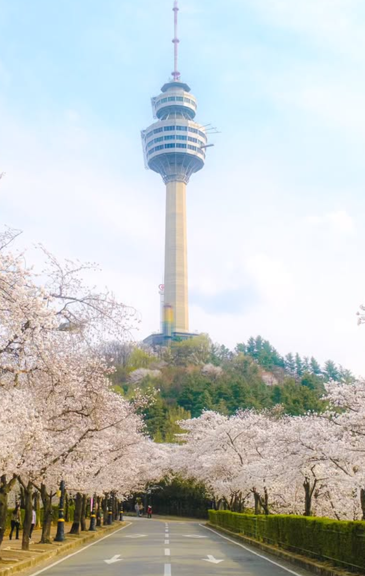 대구 이월드 자유이용권 할인